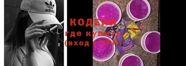 гашик Алзамай