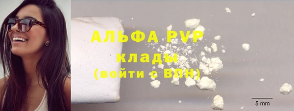 молекула духа Алексин