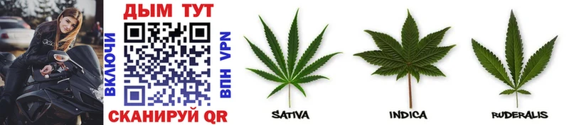 продажа наркотиков  дарк нет Telegram  гидра ссылка  Каннабис White Widow  Королёв 
